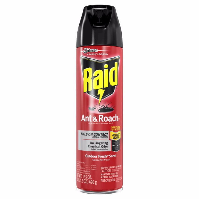 Raid Ant & Roach Killer Outdoor Fresh Scent 17.5oz