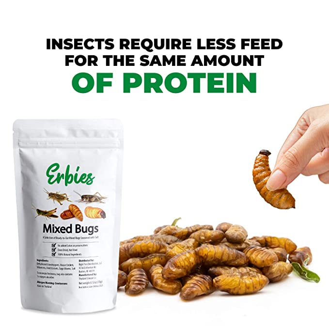 Erbies Edible Bugs Mixed Trail Mix, 15g Bag, Seasoned and Crunchy Insects, Crickets, Grasshoppers, Silkworm Pupae, and Sago Worms, Protein Packed Snack, Fun Gift Idea (1-Pack)